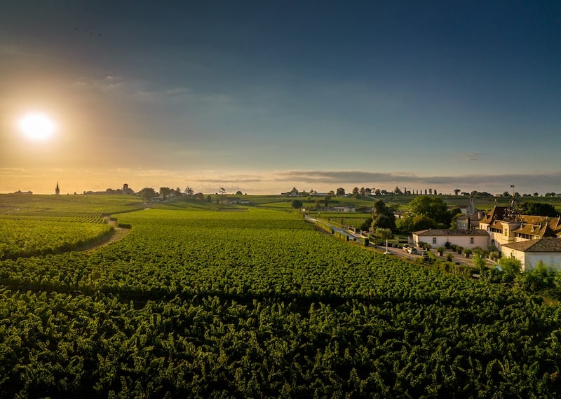 Right-Bank Bordeaux vs. Pride Mountain Vineyards